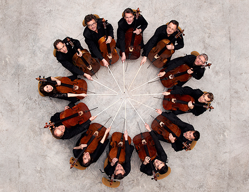 Die 12 Cellisten - © Uwe Arens